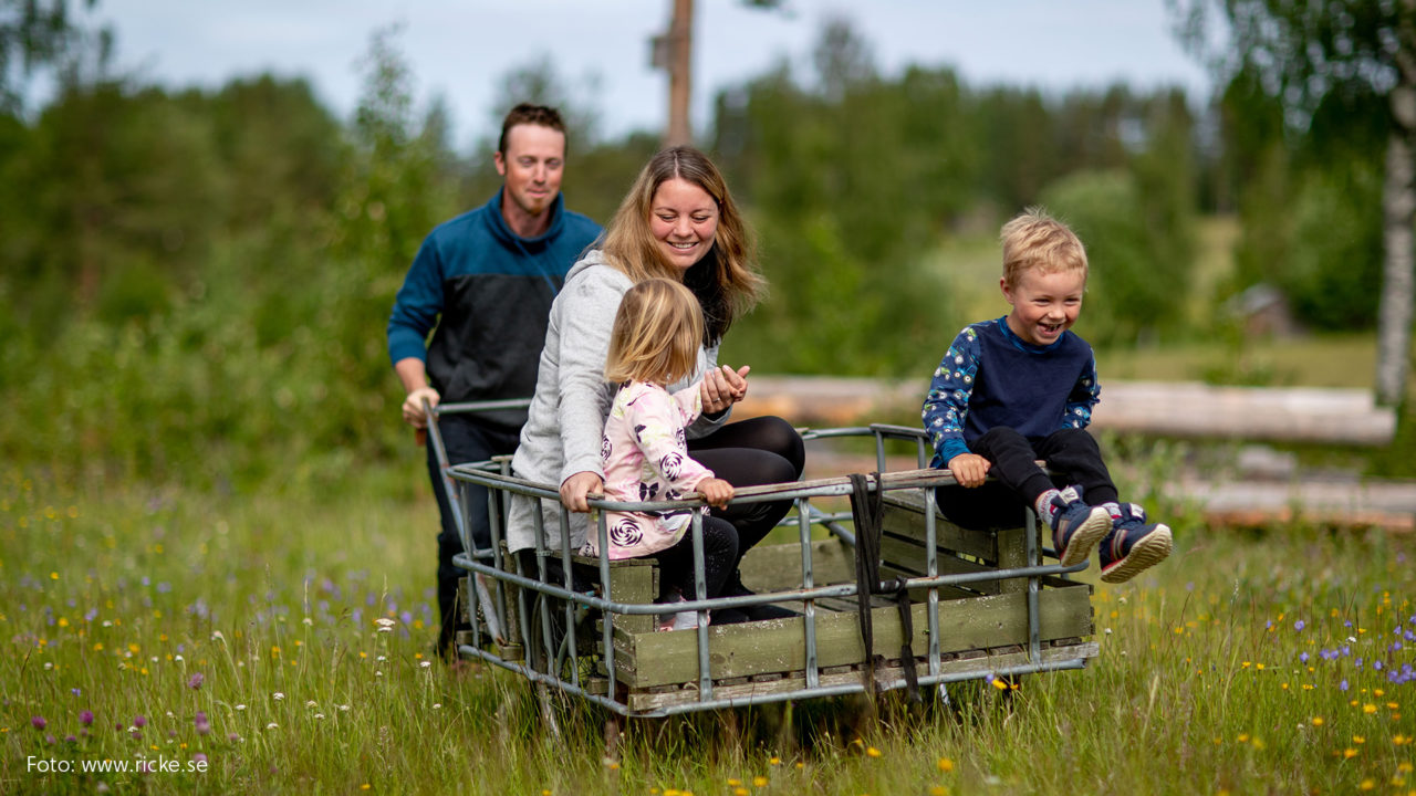 Familj på en äng. Pappan skjutsar barnen (pojke och flicka) samt mamman i en typ av kärra.