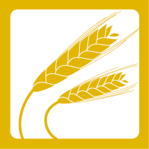 Illustration av rågax.