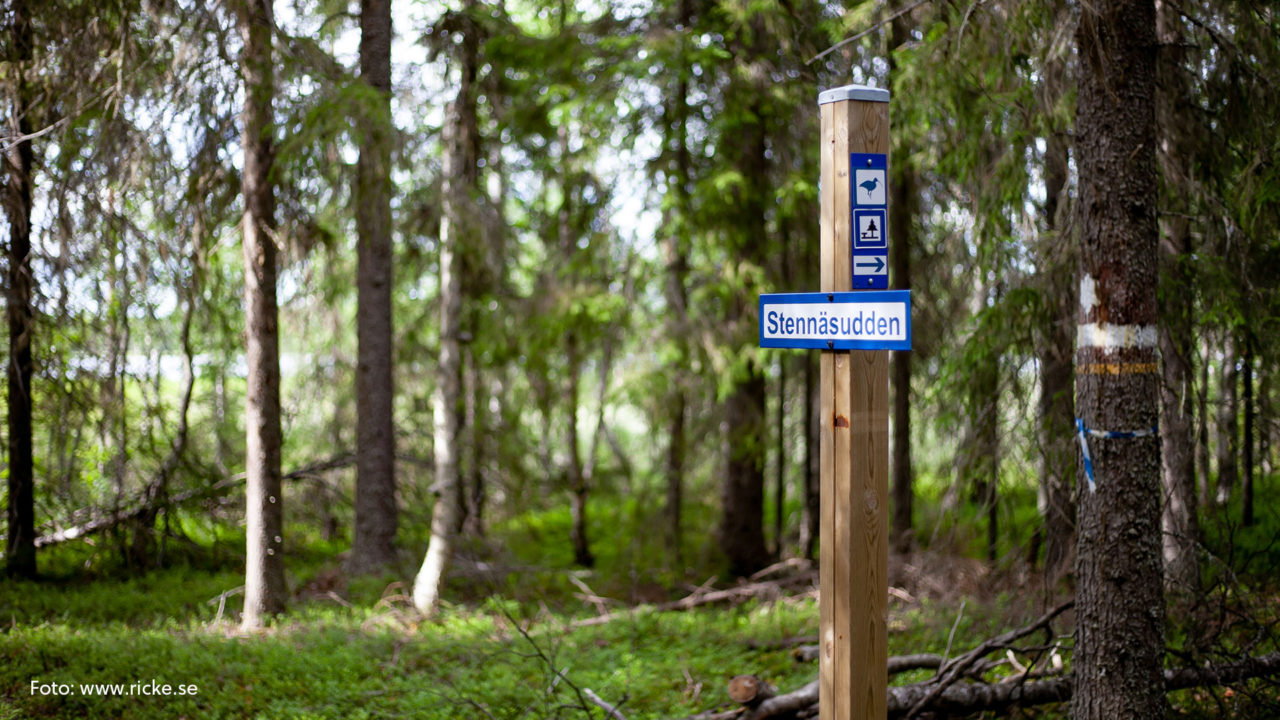 Bild på en skylt i skogen.