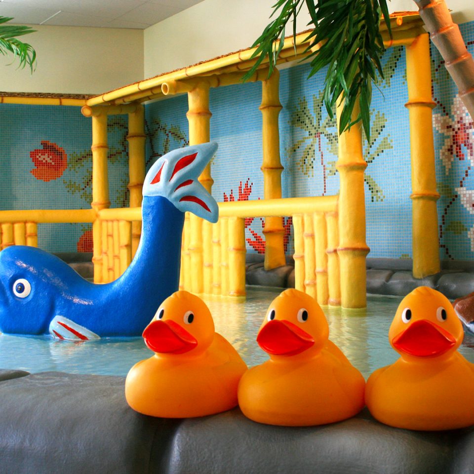 Gula badankor i förgrunden. Barnbassäng med palmer i bakgrunden.