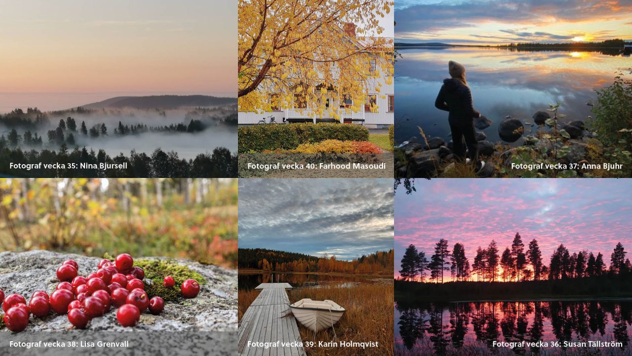 Collage med höstbilder