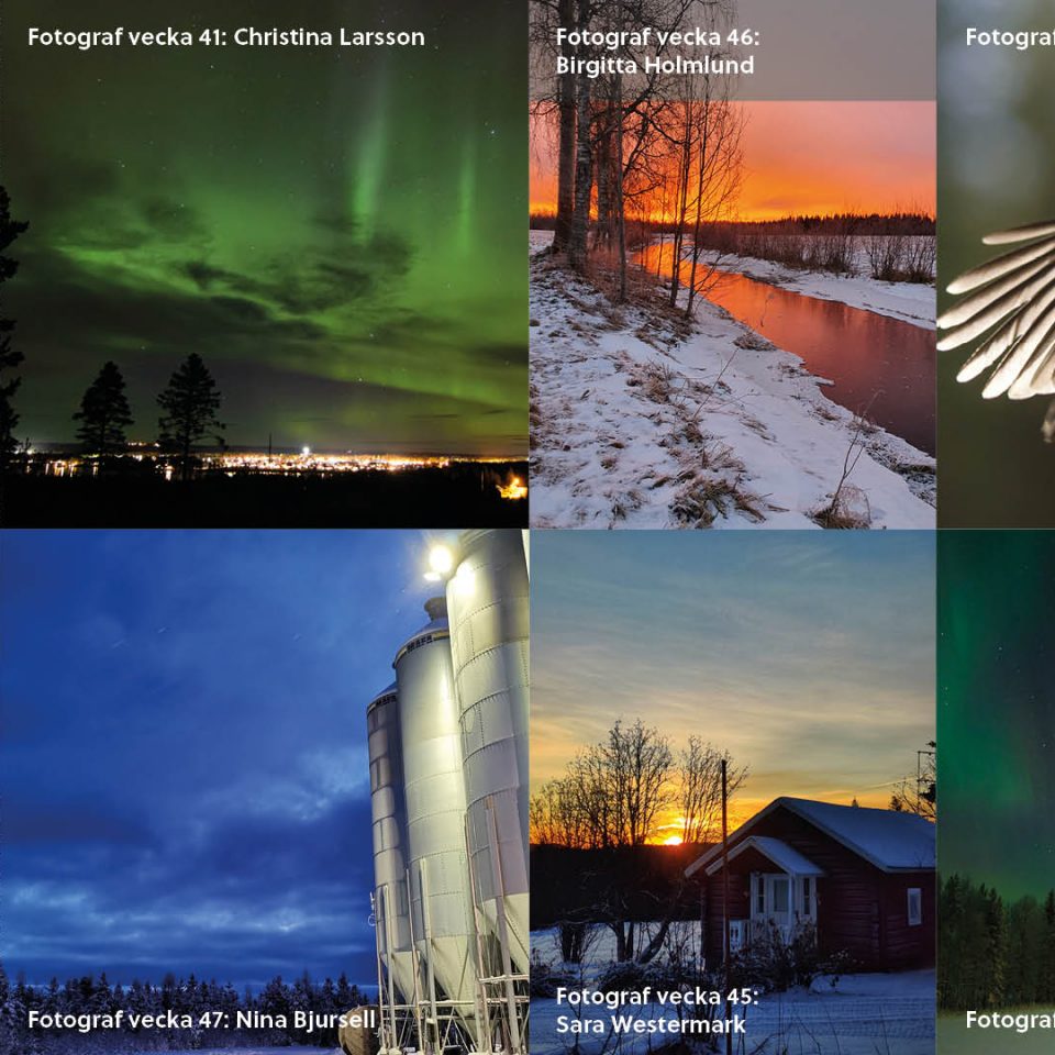 Collage med bilder från Norsjöbygden.