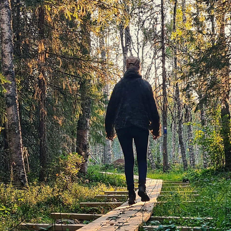 Vandringsled i Norsjö, Vajsjön.