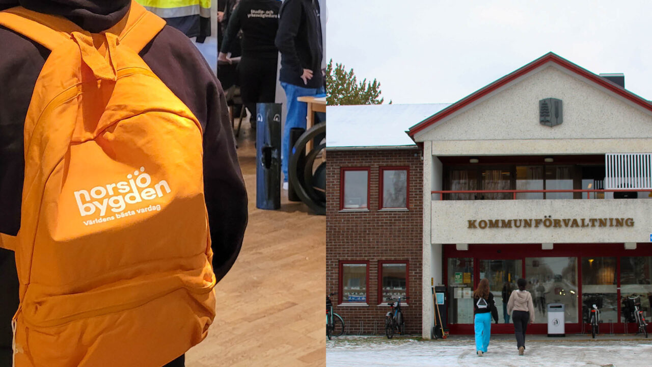 Collage på Norsjö bygden.