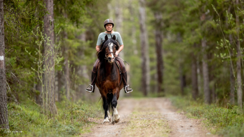 Kvinna som rider häst.