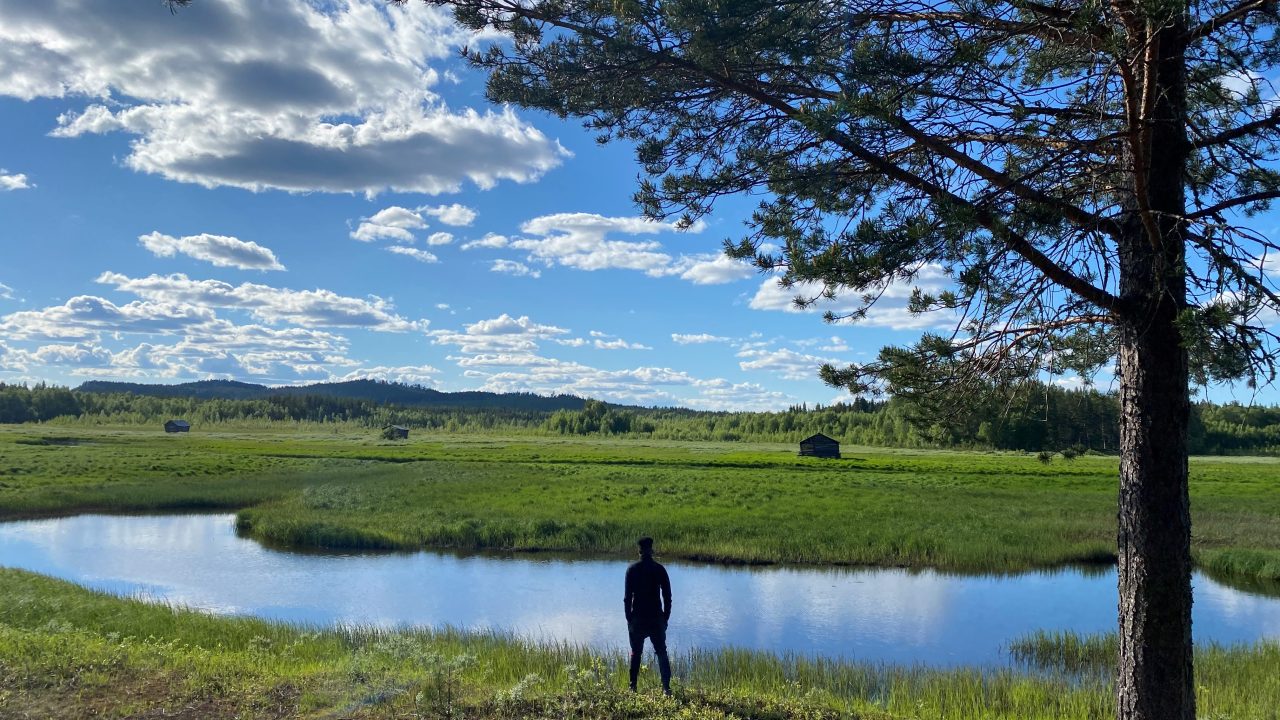 En person som tittar ut över Svansele dammängare